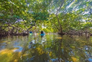 Miami: Key West-tur med snorkling og kajakkpadling