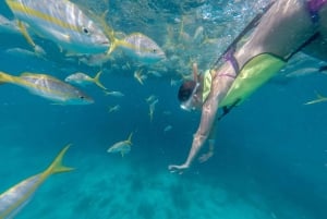 Miami : Visite de Key West avec plongée en apnée et kayak