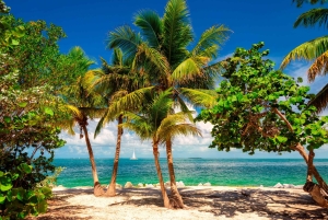 Miami: Key West Tour med snorkling og kajaksejlads