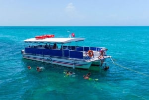 Miami: Key West Tour with Snorkeling & Kayaking