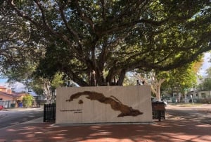 Miami: Little Havana – mat, kultur och salsa