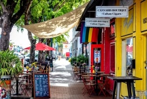 Miami : Visite en petit groupe à pied de la Petite Havane