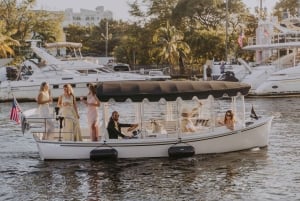 Miami: Luxury E-Boat Cruise with Wine and Charcuterie Board