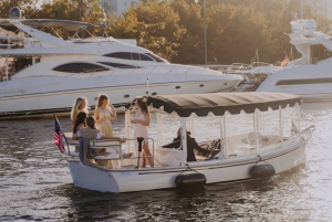 Miami : Croisière en E-Boat de luxe avec vin et planche de charcuterie