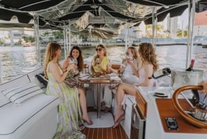 Miami: Luxury E-Boat Cruise with Wine and Charcuterie Board