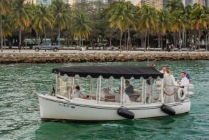 Miami: Luxury E-Boat Cruise with Wine and Charcuterie Board