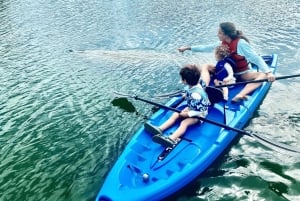 Miami: Passeio de Paddleboard ou Caiaque na Temporada do Peixe-boi