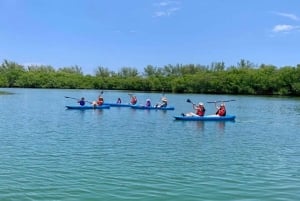 Miami: Manatee Seizoen Paddleboard of Kajak Tour