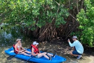 Miami: Manatee Seizoen Paddleboard of Kajak Tour