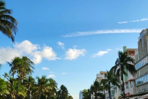 Miami Beach/ Miami: private city tour