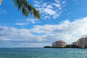 Miami Beach/ Miami: tour privado por la ciudad