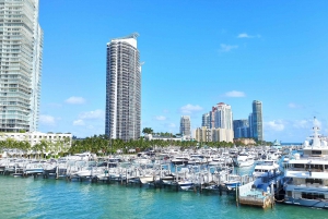 Miami & Miami Beach Sightseeing private Tour