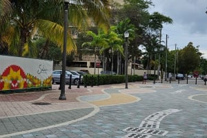 Miami Beach/ Miami: private Tour durch die Stadt