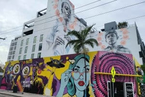 Miami & Miami Beach sightseeing private tour