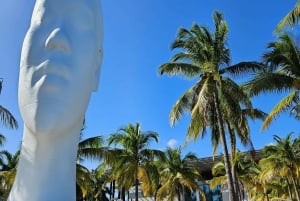 Miami Beach/ Miami: privat byrundvisning