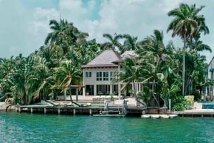 Miami: Millionaire Homes Bootstour mit Mojito Bar an Bord