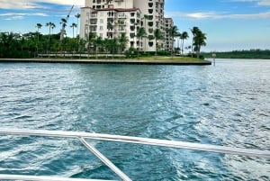 Miami: Passeio de barco 'Millionaire Homes' com bar Mojito a bordo