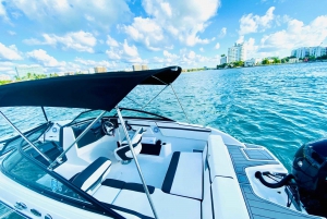 Miami: Millionaire's Row Boat Tour