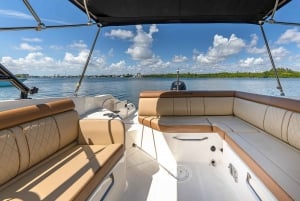 Miami: Passeio de barco no Millionaire's Row