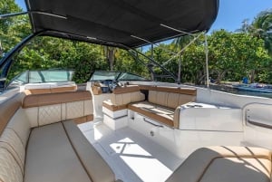 Miami: Millionaire's Row Boat Tour