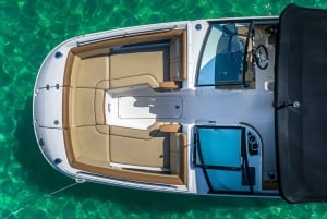 Miami: Millionaire's Row Boat Tour