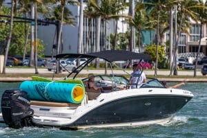 Miami: Millionaire's Row Boat Tour