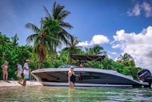 Miami: Millionaire's Row Boat Tour