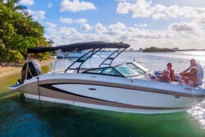 Miami: Millionaire's Row Boat Tour