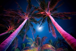 Miami: Moonlight Magic Nightlife Experience