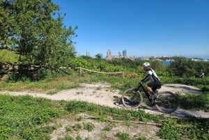 Miami: Mountain Bike Rental on Virginia Key Trails