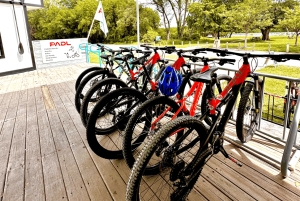 Miami: Mountain Bike Rental on Virginia Key Trails