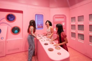 Miami: Museum of Ice Cream Toegangsbewijs