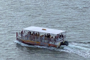 Miami: New Year's Eve Fireworks Cruise on Biscayne Bay