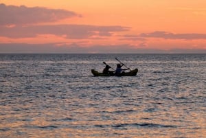 Miami: Night Biscayne Bay Aquatic Preserve Kayak Tour