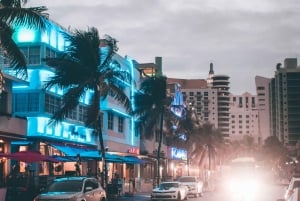 Miami Night Tour by Open Bus