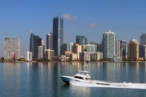 Miami: Open Double Decker City Tour with Boat Options