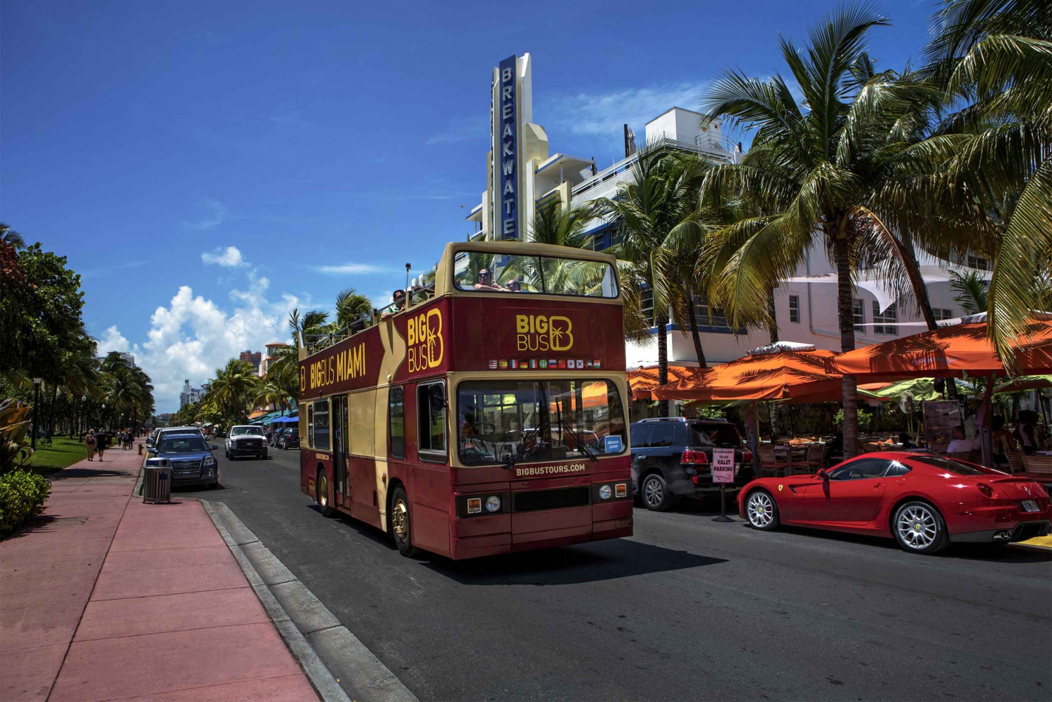 Miami: Open Top Bus Tour & Optional Cruise & Everglades Show