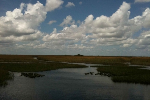 Miami: Original Everglades Airboat Tour & Alligator Exhibit