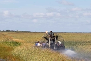 Miami: passeio de aerobarco original em Everglades e exibição de jacaré