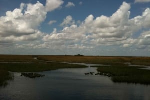 Miami: passeio de aerobarco original em Everglades e exibição de jacaré