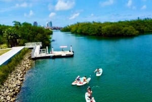 Miami: Paddle Board of kajakverhuur in Virginia Key
