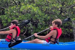 Miami: Alquiler de tablas de paddle o kayaks en Virginia Key