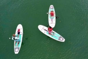 Miami: Alquiler de tablas de paddle o kayaks en Virginia Key