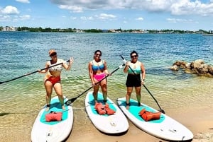 Miami: Leie av padlebrett eller kajakk i Virginia Key