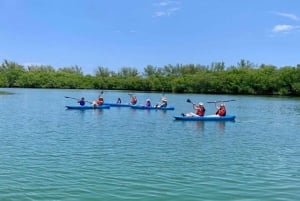 Miami: Paddle Board of kajakverhuur in Virginia Key