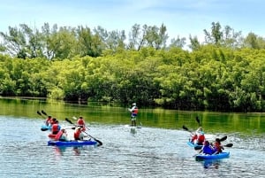 Miami: Noleggio di tavole da paddle o kayak a Virginia Key