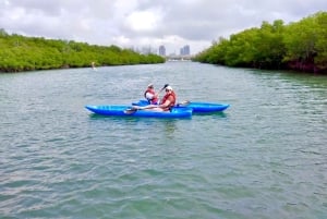 Miami: Paddle Board or Kayak Rental in Virginia Key