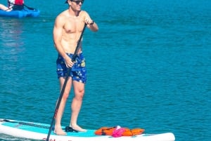 Miami: Paddle Board or Kayak Rental - PADL Beach Club