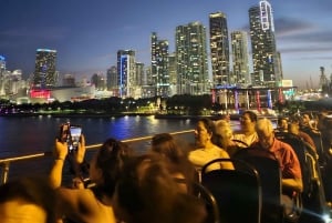 Miami by Night: City and Beach Lights Panoramic Tour