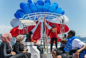 Miami: Parasailing-upplevelse i Biscayne Bay